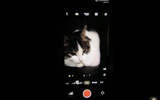 博主实测vivo X90 Pro+：夜视仪实锤了