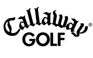 世界高尔夫球具品牌排行榜（高尔夫球十大名牌排行榜）