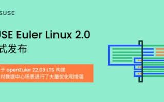 开源软件巨头发布Euler Linux 2.0：支持华为鲲鹏、飞腾处理器