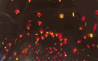 红灯藏在成片红灯笼里引司机吐槽：差点6分没了