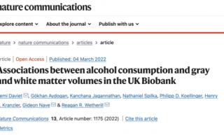 研究：每天喝两杯啤酒会让人变笨