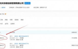真功夫快餐成被执行人：之前因侵权被功夫巨星李小龙之女起诉