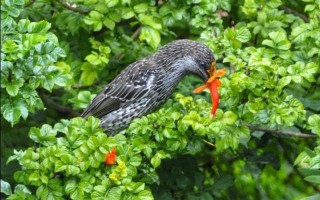 尼康d90相机怎么样（尼康d90上市时间发布时间）