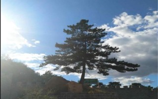 丹东好玩的旅游景点有哪些（丹东十大旅游景点介绍）