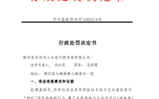 湖北一发电公司给挖矿拉专线：罚没6.5万元