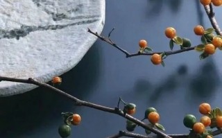 秋天的散文诗简短（有关秋天的散文诗）