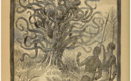 一口一只小苍蝇：不恶心吗？