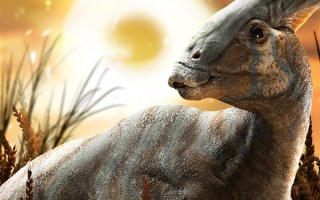 上映20天 好莱坞大片《侏罗纪世界3》国内票房破8亿：豆瓣仅6.3分