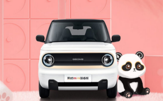续航200km有快充 吉利熊猫mini新春版官图发布：妹子最爱