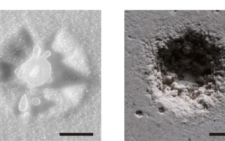 水滴力量有多大？《自然》子刊：如微型炸弹 扩散速度超音速