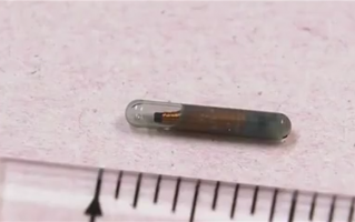 日本规定出售宠物需植入芯片：防止遗弃行为