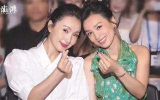 女明星陶虹从张庭传销公司5年分红4.2亿上热搜：律师称摊大事 有违法嫌疑