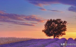 与水有关的诗句有哪些（关于水的好词好句）