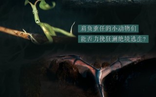 等好久了！《神奇动物：邓布利多之谜》7月25日上线B站、爱奇艺