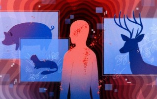 当人类将疾病传播给动物会发生什么