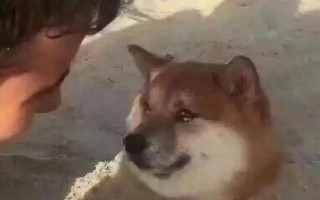 为什么王者代练价格这么低 3个导致王者荣耀代练价格低的原因