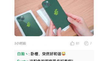 绿色iPhone 13印上邮政logo 网友：毫不违和！
