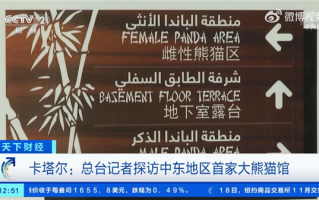 堪比别墅！中东地区第一家大熊猫馆建立：两只大熊猫即将入住