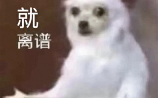 Java SE疯狂涨价！甲骨文改按公司人头收费 不用都要交钱 网友：慢性自杀