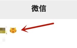 微信小老虎头像上热搜：手把手教你如何添加