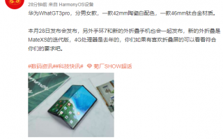 华为折叠屏旗舰Mate Xs迭代版曝光：4月发布、没5G