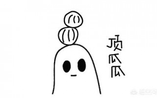 电视网络机顶盒哪个牌子好（电视网络机顶盒排名前十）