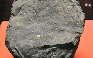 日本在小行星中发现氨基酸 这意味着发现外星生命吗？