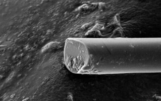 比天然蛛丝强度高70%！我国科学家造出超强人造蚕丝