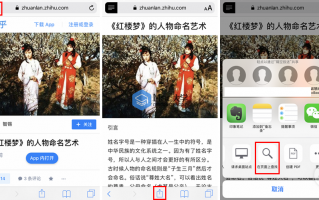 iPhone Safari 浏览器中页面内搜索方法