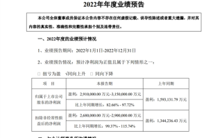 赚麻了！宁德时代：预计2022年净利润291~315亿元、同比暴增