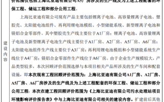 和特斯拉“做邻居” 比亚迪拟扩建上海工厂：不增产电池