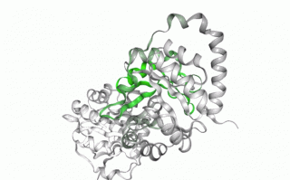 谷歌 AI 加入蛋白质解析大军：ProtENN 模型助增 680 万个蛋白质注释词条，登顶 Nature 子刊