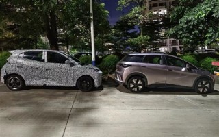 与大哥海豚同框 比亚迪海鸥曝光：尺寸更小、售价更低！