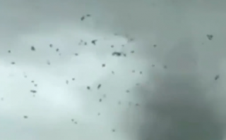 广东佛山遭龙卷风“袭击”：狂风席卷 风声震耳欲聋