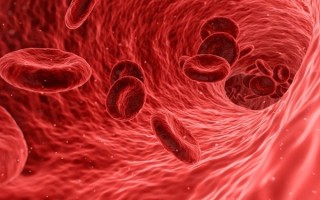 看血型就能预测癌症？亲属之间到底能不能输血？一文看懂