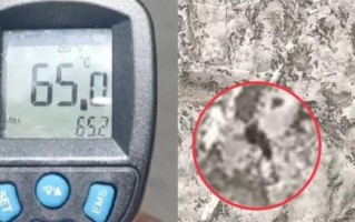 多地持续高温 蚂蚁扔马路上活不过3秒！那人呢？