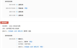 贾跃亭名下已无财产可执行：无车辆、不动产