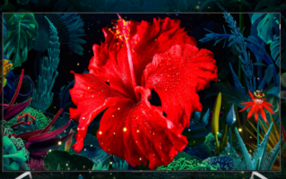 10999元起！TCL C11智慧屏上市：全通道144Hz高刷