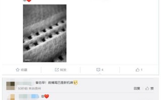 小米曾学忠换上新手机：徕卡参与的年度旗舰降临