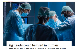 首例病例仅存活2个月！德国外科医生：人类移植猪心脏可在两年内应用