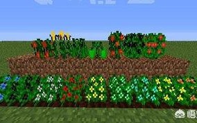 我的世界最完美种子,我的世界 奇葩的世界种子分享