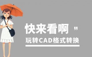 cad格式转换软件使用操作 手机cad转换器怎么用