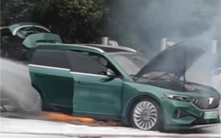 公开报道首例：曝岚图FREE街头起火