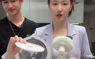 董明珠回应孟羽童像流量网红直播带货：她是标准的秘书