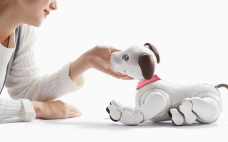 aibo 寻找新家：索尼推出新计划让机器狗继续发挥作用