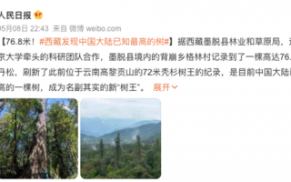 83.2米！什么树长得这么高？水分怎么送上去的？