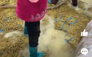 曝螺蛳粉酸豆角也是“踩”出来的 热搜已炸