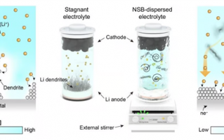 锂金属电池爱长枝晶？韩国科学家找到破解之法