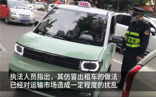 图好玩 一女子将宏光MINI EV扮成出租车：涉嫌扰乱市场被查