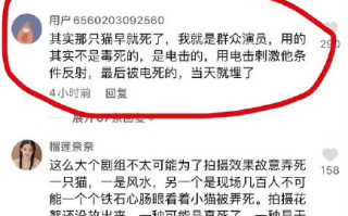 造谣《当家主母》中的猫被电死 抖音用户被行拘